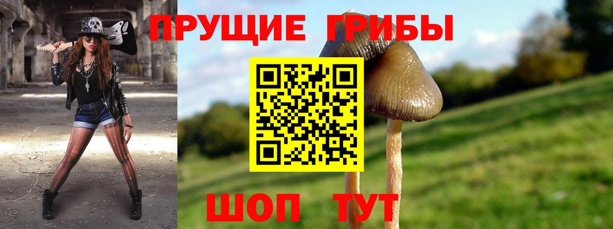 Галлюциногенные грибы ЛСД  как найти закладки  Берёзовский  Вход с VPN 