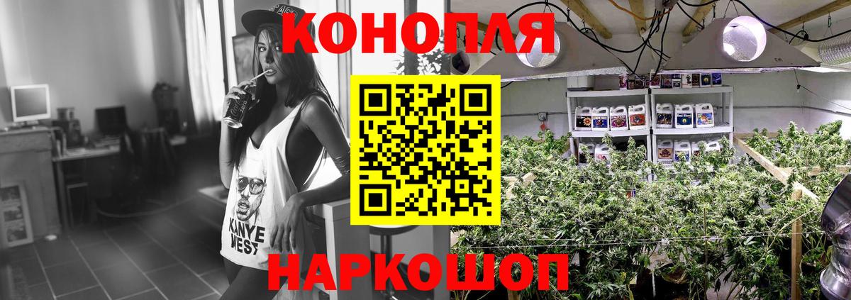 Шишки марихуана Amnesia  Шишки марихуана гибрид  Вход с VPN  Берёзовский 
